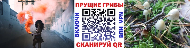 Галлюциногенные грибы Cubensis  где купить наркотик  Полтавская 